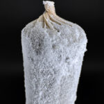 1.5g Snow Cone preroll Washington DC Virginia