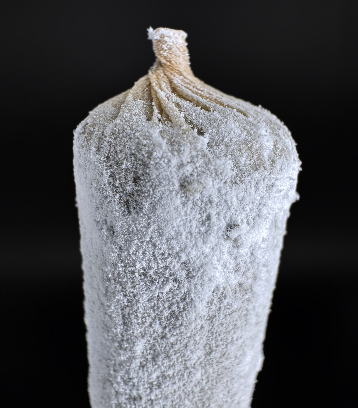 1.5g Snow Cone preroll Washington DC Virginia