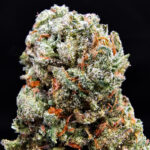 Super Lemon Crush strain, sativa dominant, 30â33% THC, available for delivery in Washington DC, Virginia, Maryland, and Richmond VA