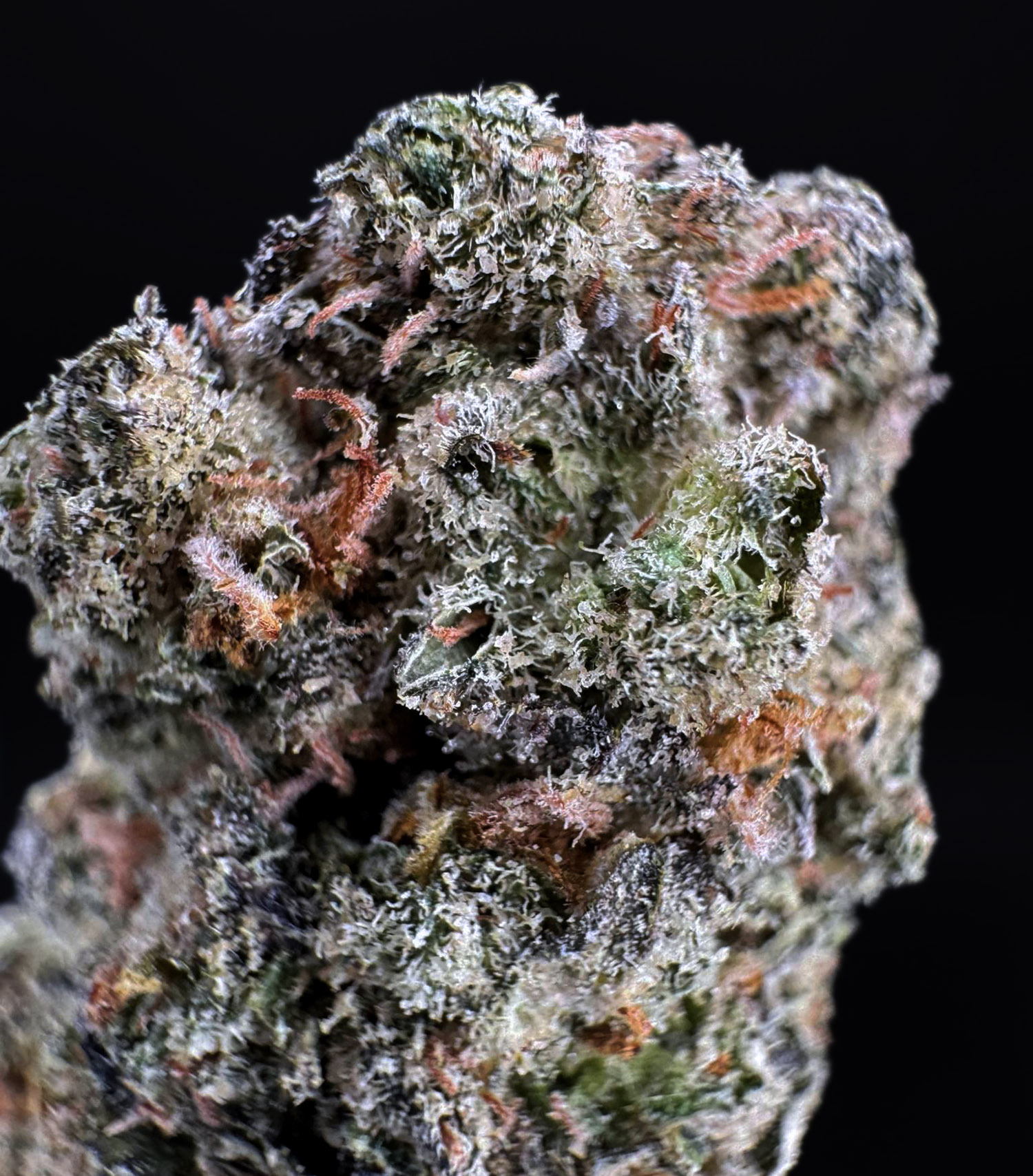 Super Lemon Crush strain, sativa dominant, 33% THC, available for delivery in Washington DC, Virginia, Maryland, and Richmond VA