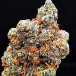 Tom Ford Pink Kush strain, indica dominant, 28–30% THC available for Washington DC, Virginia, Maryland, and Richmond VA weed delivery.