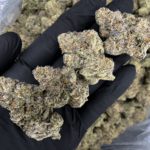 98K West Coast indica exotic flower by District Connect, rare boutique strain available in Washington DC and Northern Virginia