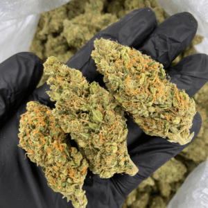 Afwreck sativa-dominant cannabis flower with earthy citrus aroma available from District Connect for cannabis delivery in Washington DC, Virginia, and Maryland