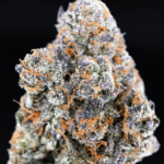 Donny Burger strain high THC indica-dominant hybrid flower available for delivery in Washington DC and Northern Virginia
