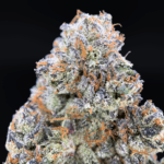 Donny Burger strain high THC indica-dominant hybrid flower available for delivery in Washington DC and Northern Virginia