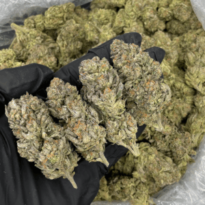 Galactic Warheads balanced hybrid cannabis flower with sweet candy and citrus aroma available from District Connect for cannabis delivery in Washington DC, Virginia, and Maryland