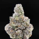 Old Money strain by Compound Genetics testing over 30% THC, premium hybrid cannabis flower available for delivery in Washington DC and Northern Virginia