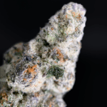 Old Money strain by Compound Genetics testing over 30% THC, premium hybrid cannabis flower available for delivery in Washington DC and Northern Virginia