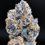 Purple Cherry Popper balanced hybrid cannabis flower with purple hues and frosty trichomes available from District Connect for cannabis delivery in Washington DC, Virginia, and Maryland
