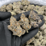 Purple Cherry Popper balanced hybrid cannabis flower with purple hues and frosty trichomes available from District Connect for cannabis delivery in Washington DC, Virginia, and Maryland