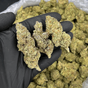 Tropical Pressure sativa-dominant cannabis flower with citrus and tropical candy aroma available from District Connect cannabis delivery in DC, Virginia, and Maryland