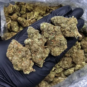 Tropicana Cherry sativa hybrid cannabis flower with 22–26% THC from District Connect available for weed delivery in Washington DC, Virginia, Maryland, and Richmond VA.