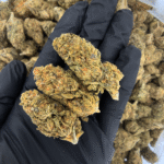Alien OG indica dominant flower budget option available for Washington DC cannabis delivery through District Connect
