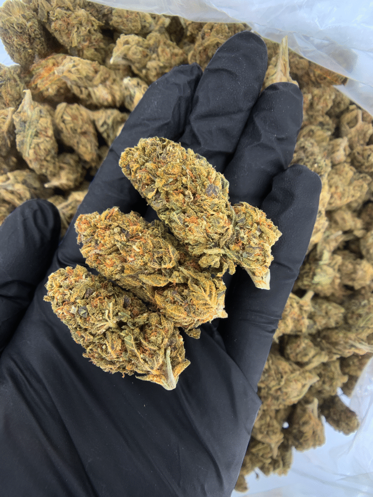 Alien OG - Indica - Oz Deal (Out of Stock ) - District Connect ...