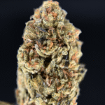 Alien OG indica dominant flower budget option available for Washington DC cannabis delivery through District Connect