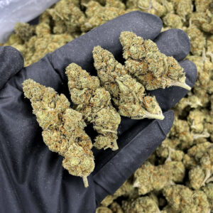 Grandi Guava hybrid cannabis strain 21–25% THC available in Washington DC, Virginia, Maryland, and Richmond VA