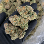 Pink Acai hybrid cannabis flower with purple frosty buds available for District Connect Washington DC and Virginia weed delivery