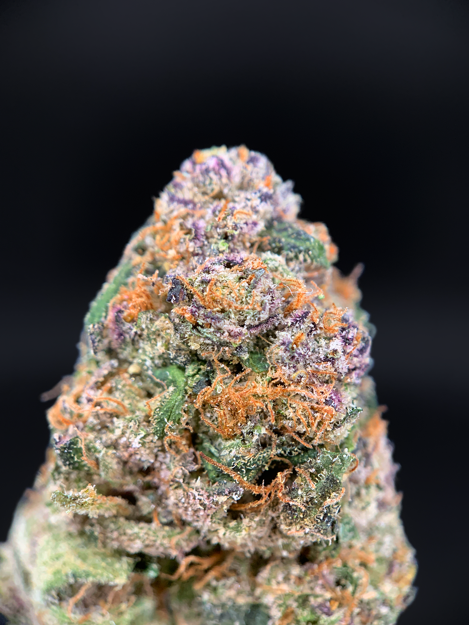 Pink Acai hybrid cannabis flower with purple frosty buds available for District Connect Washington DC and Virginia weed delivery