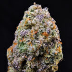 Purple Haze sativa-dominant cannabis flower 27-30% THC available for delivery in Washington DC, Virginia, Maryland, and Richmond VA