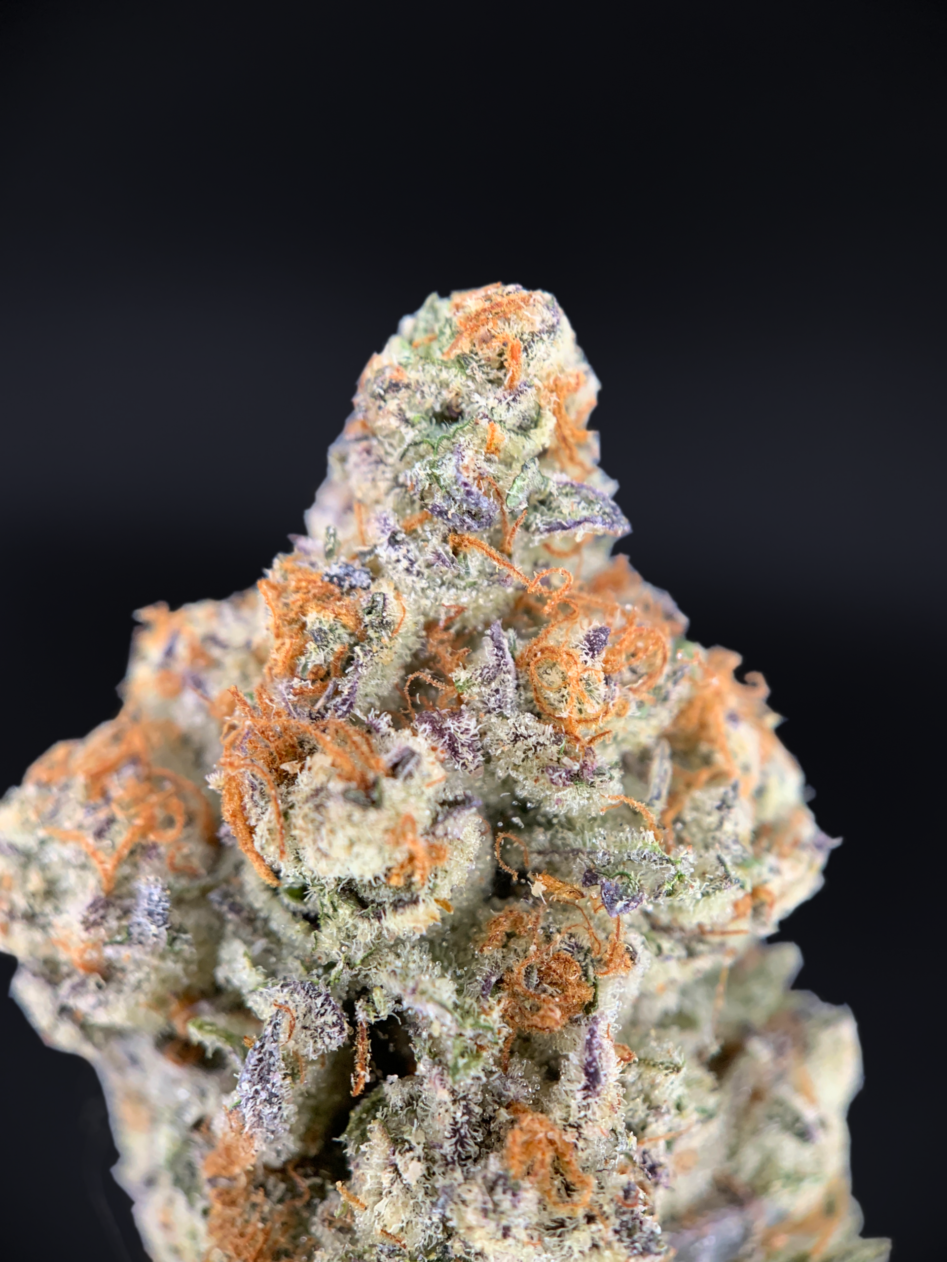 Blueberry Jam indica dominant cannabis strain with frosty trichome covered buds available through District Connect Washington DC weed delivery