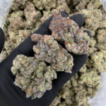 Blueberry Jam indica dominant cannabis strain with frosty trichome covered buds available through District Connect Washington DC weed delivery