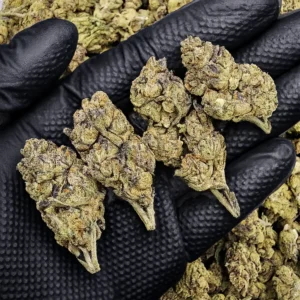 Cherry Gelato sativa-dominant hybrid cannabis flower with 22-26% THC available in Washington DC, Virginia, Maryland, and Richmond VA
