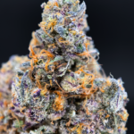 Dulce de Miel by Maven Genetics premium indica leaning flower available through District Connect Washington DC delivery