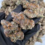 Dulce de Miel by Maven Genetics premium indica leaning flower available through District Connect Washington DC delivery