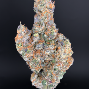 French Lotus strain by Maven Genetics top shelf hybrid flower available at District Connect Washington DC