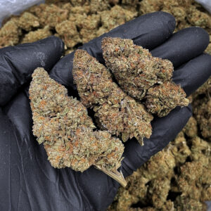 Ice Cream Runtz hybrid cannabis strain 23–27% THC available for weed delivery in Washington DC Virginia Maryland Richmond VA