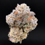 Shangri-La Opal x Paradiso #11 balanced hybrid premium cannabis flower by Maven Genetics available for District Connect Washington DC weed delivery