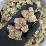 Shangri-La Opal x Paradiso #11 balanced hybrid premium cannabis flower by Maven Genetics available for District Connect Washington DC weed delivery