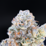 Shangri-La Opal x Paradiso #11 balanced hybrid premium cannabis flower by Maven Genetics available for District Connect Washington DC weed delivery