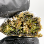 THCa Snowball Moon Rocks coated in THC powder available for DC and Northern Virginia delivery