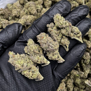Thin Mint hybrid cannabis flower with 24-28% THC available through Washington DC, Virginia, Maryland, and Richmond VA weed delivery