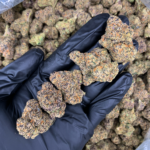 Warheadz sativa leaning cannabis strain available through District Connect Washington DC weed delivery