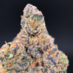 Warheadz sativa leaning cannabis strain available through District Connect Washington DC weed delivery