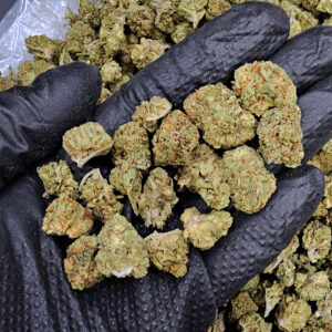 Blue Dream Sativa-dominant hybrid cannabis flower with 24-26% THC available in Washington DC, Virginia, Maryland, and Richmond VA