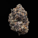 Gello Shotz hybrid cannabis flower 29-31% THC by District Connect available for Washington DC, Virginia, Maryland, and Richmond VA delivery