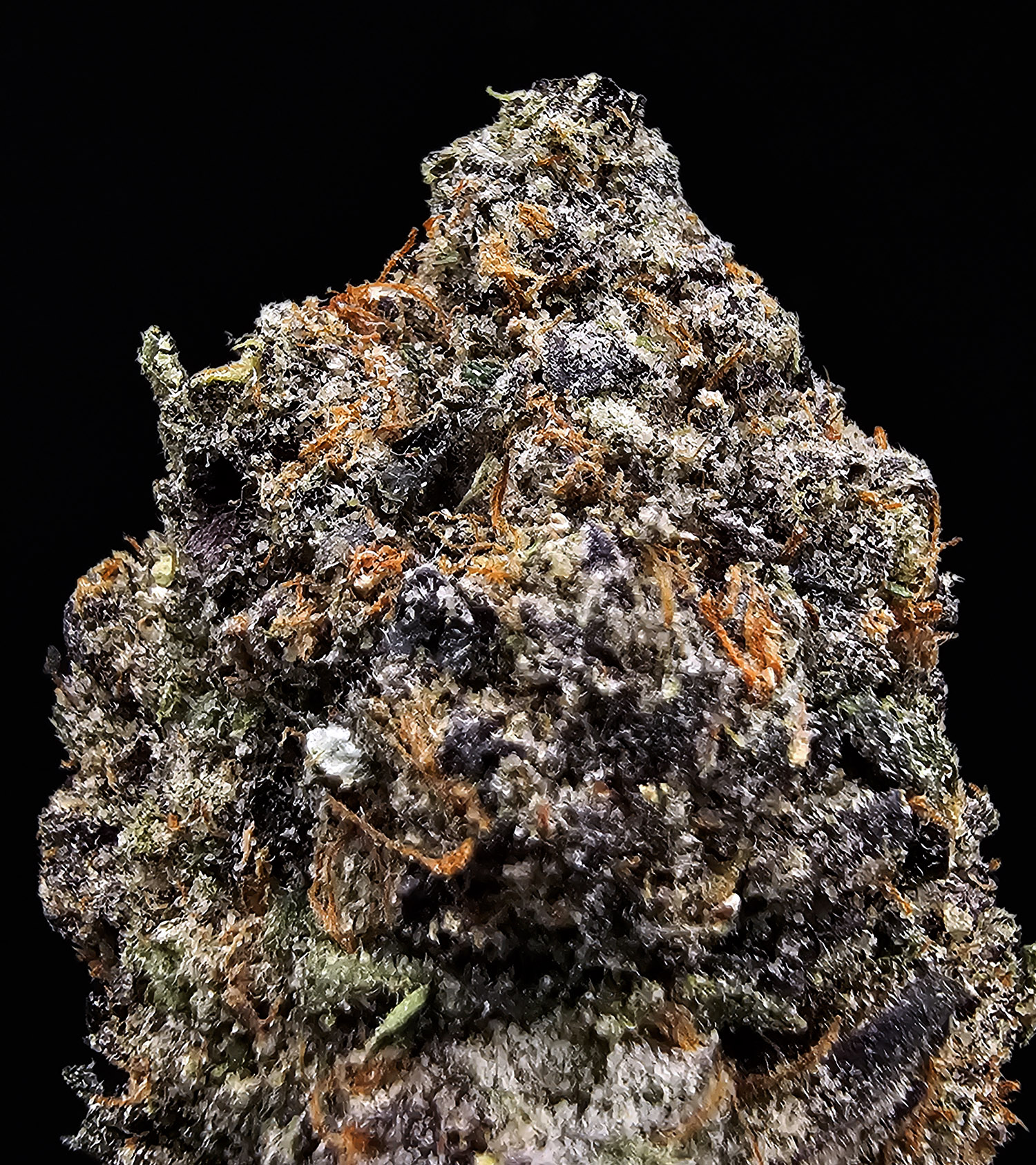 Gello Shotz hybrid cannabis flower 29-31% THC by District Connect available for Washington DC, Virginia, Maryland, and Richmond VA delivery