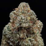 GG4 hybrid cannabis flower 30-33% THC available from District Connect in Washington DC Virginia Maryland and Richmond VA