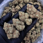 GG4 hybrid cannabis flower 30-33% THC available from District Connect in Washington DC Virginia Maryland and Richmond VA