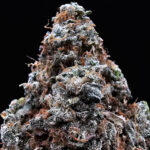 High Octane OG Indica-dominant hybrid 28–31% THC cannabis strain by District Connect available for Washington DC, Virginia, Maryland, and Richmond VA weed delivery