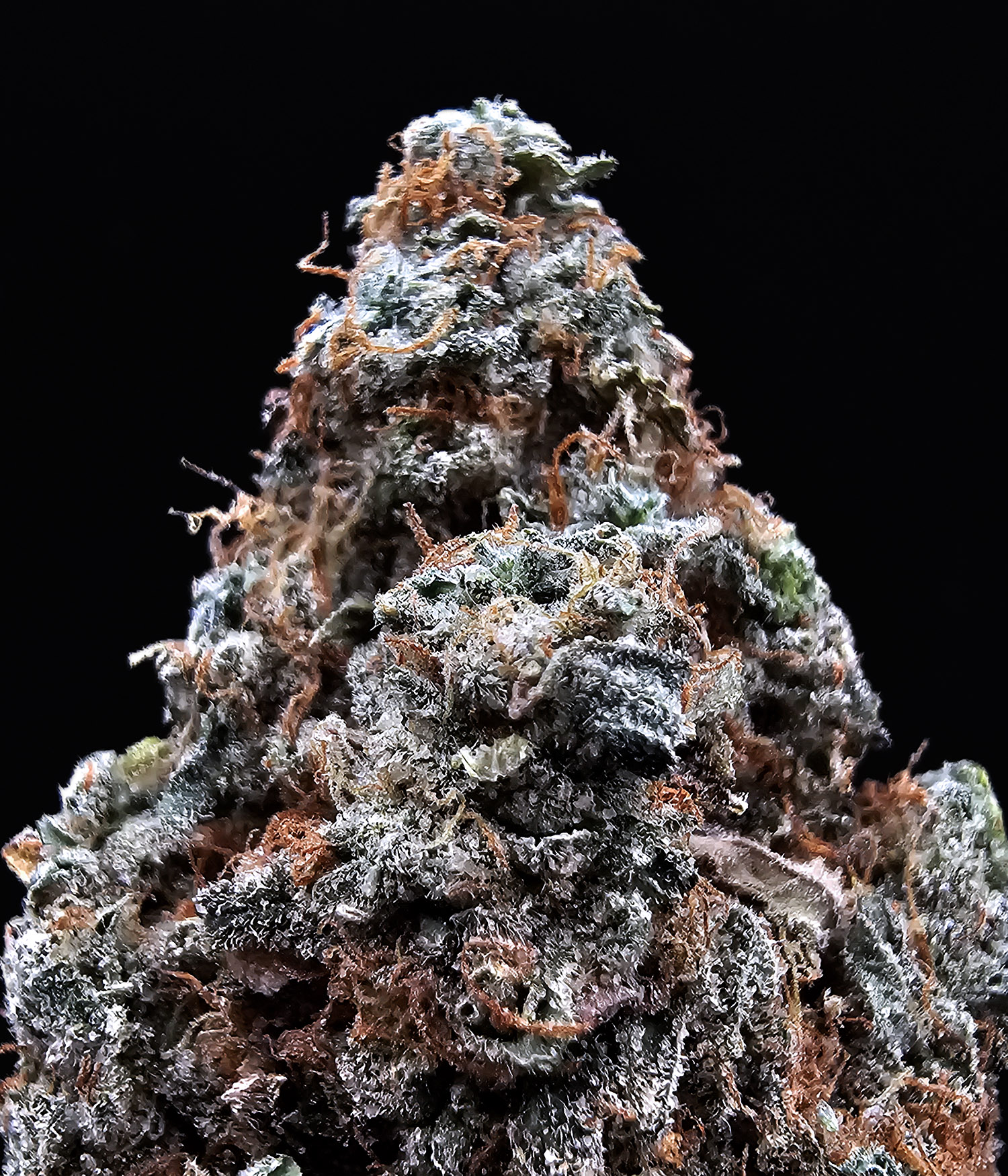 High Octane OG Indica-dominant hybrid 28–31% THC cannabis strain by District Connect available for Washington DC, Virginia, Maryland, and Richmond VA weed delivery