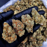 High Octane OG Indica-dominant hybrid 28–31% THC cannabis strain by District Connect available for Washington DC, Virginia, Maryland, and Richmond VA weed delivery
