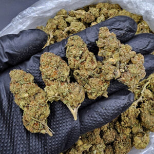 Ice Cream Haze hybrid cannabis flower 28%+ THC available from District Connect in Washington DC Virginia Maryland and Richmond VA