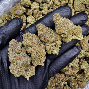 Permanent Gas hybrid cannabis flower 25-28% THC available in Washington DC Virginia Maryland and Richmond VA