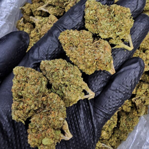 Platinum Valley hybrid cannabis flower 24%+ THC available from District Connect in Washington DC Virginia Maryland and Richmond VA