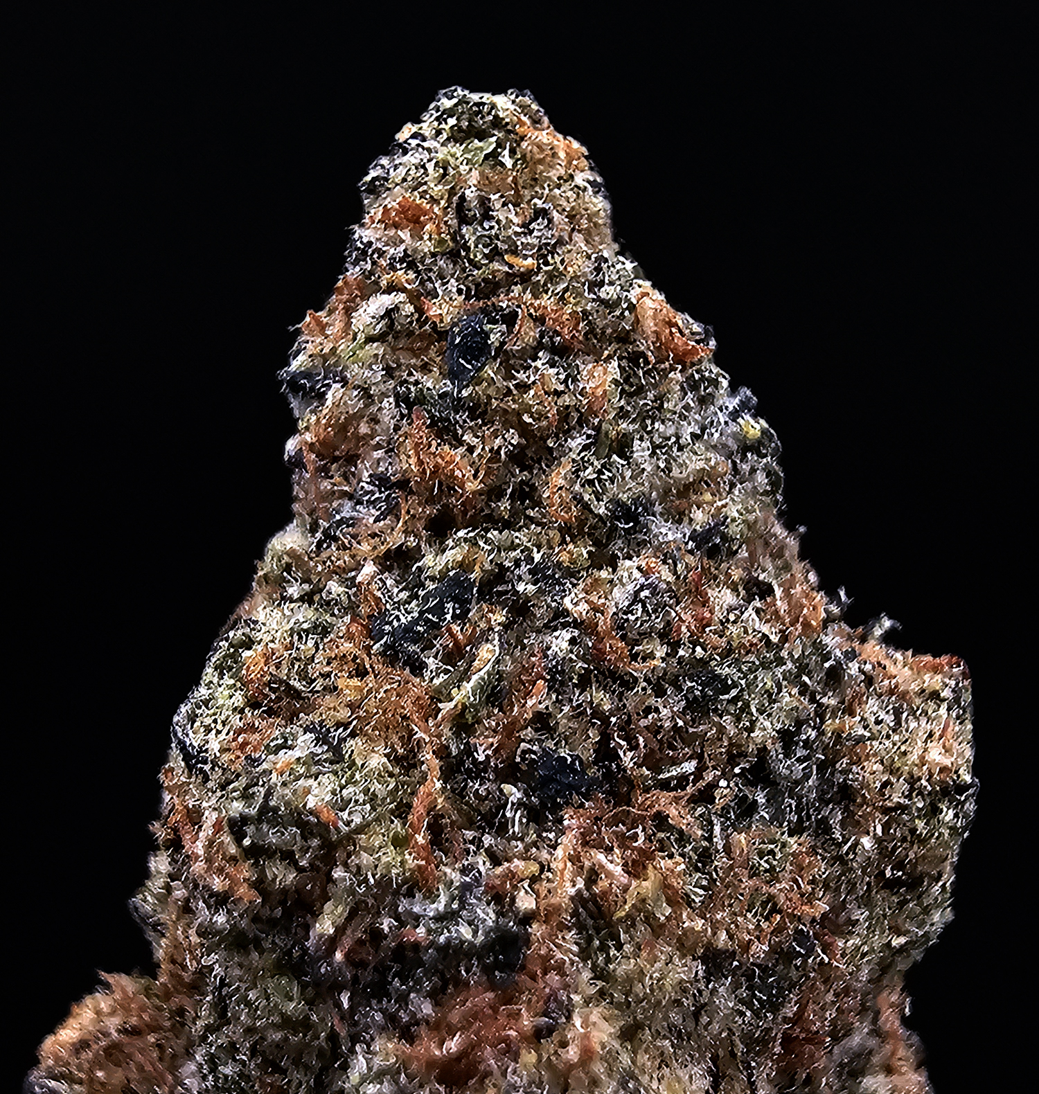 Candy Candy Sativa Hybrid 29-31% THC cannabis flower District Connect Washington DC Virginia Maryland Richmond VA