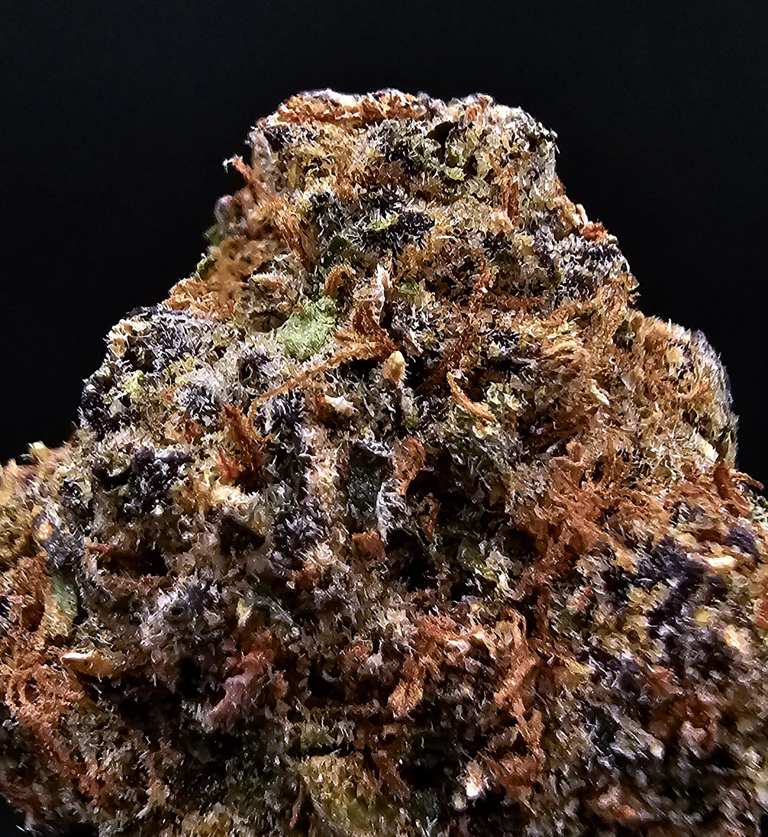 Devil Runtz hybrid cannabis flower with 31%+ THC from District Connect available for Washington DC, Virginia, Maryland, and Richmond VA weed delivery.